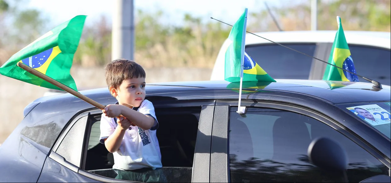 Menino balançando bandeira do Brasil