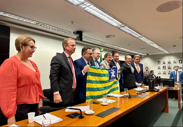 Bancada Federal do Piauí