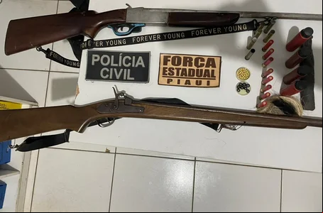 Armas de fogo apreendidas pela Polícia Civil