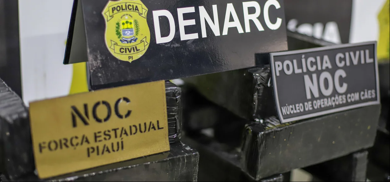 Forças de Segurança participaram da operação