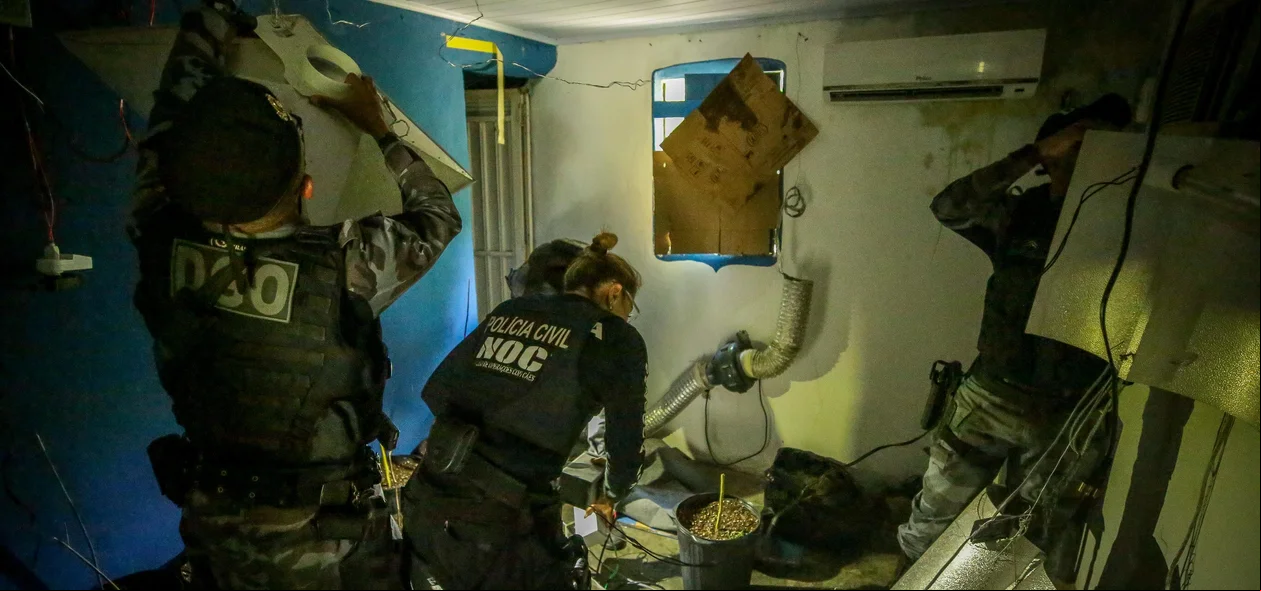 Policiais desmontam estufa do crime em Teresina