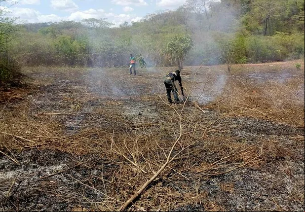 SEMAR realiza ações contra crimes ambientais