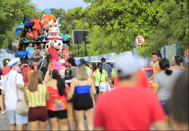 Bloco Vaca Atolada reúne milhares de foliões em Teresina