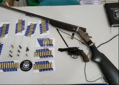 Armas e munições apreendidas pela DEPRE