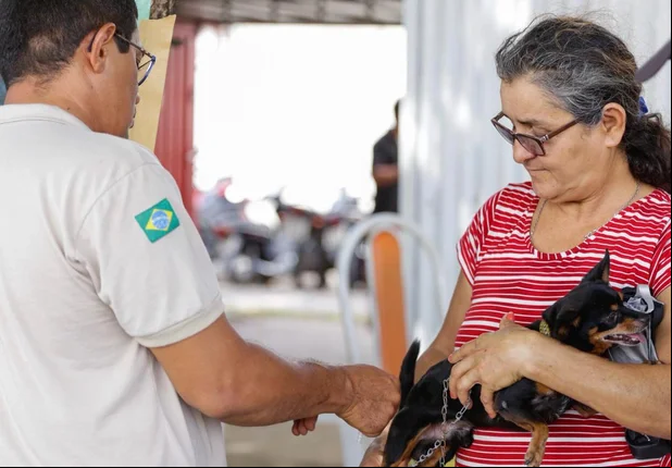Vacinação antirrábica na região sul e sudeste
