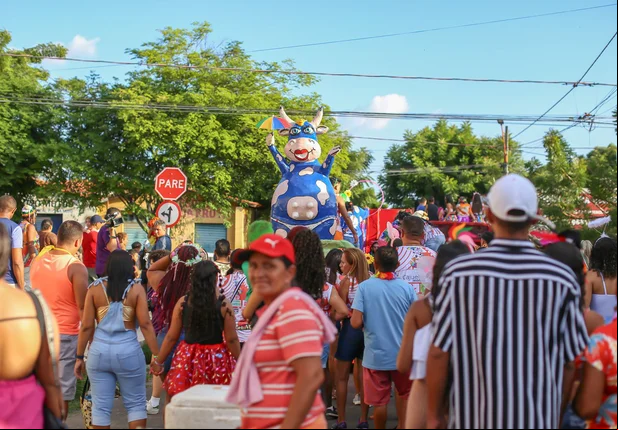 Bloco Vaca Atolada reúne foliões durante Carnaval em Teresina